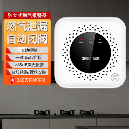 大华燃气泄漏报警器家用厨房专用