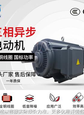 4极三相异步电动机YE3-315S/M/L1/L2-4工业电机110W-200W马达