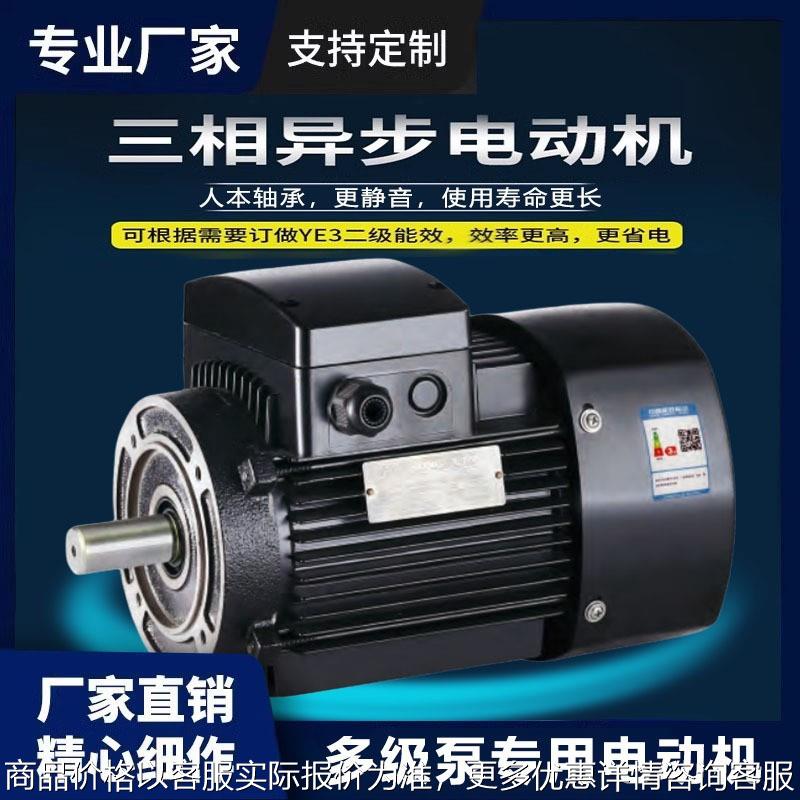 厂家定制格兰富款电机立式多级泵专用电动机380三相异步电机