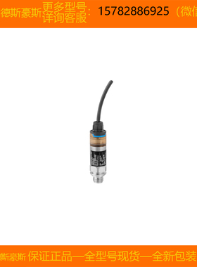 【现货】E+H/恩德斯豪斯 PMP21-2V49/0 =PMP21-AA1U1PBWBJ+F3正品