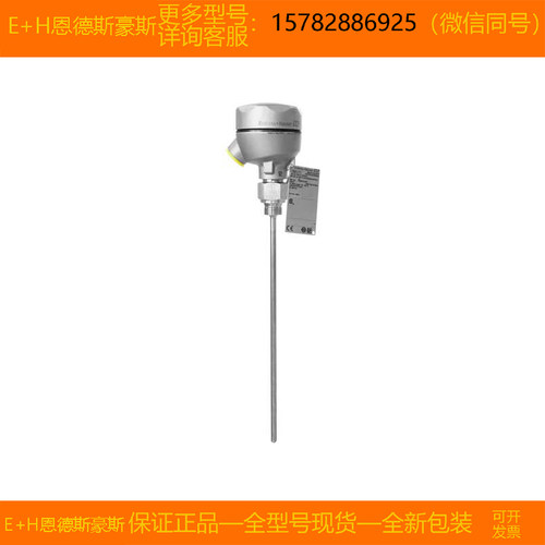 【现货】E+H恩德斯豪斯TM111-2AX49/101=TM111-AACCCX2BBB2HA1AA1