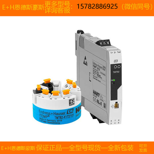 【现货】E+H/恩德斯豪斯 TMT82-1X4Q6/125=TMT82-URA2AA1A1AAA1