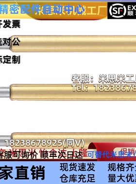 整体型标准型GNP6 GNP8探针GNP10 GNP12 GNP12-A GNP12-B GNP12-C