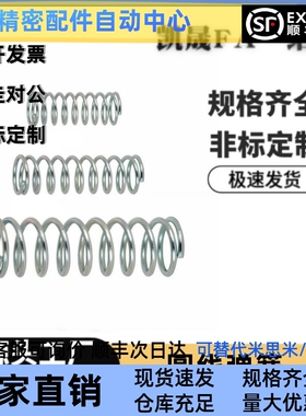 WT8/10/13/16/18/22/27-10/15/20/30/40/50/55/60/65/70/80 弹簧