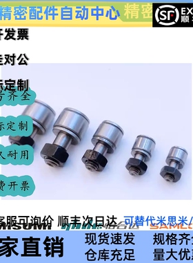 国产BPB01 02 05 BPB11 12 -d3-d4-d5-d6-d2.5微型凸轮轴承随动器