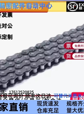 CHE15/CHES25/35/40/50/60/100/80-U替 CHEEC链条CHEED120/CHEH11