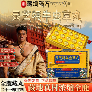 【藏地&灵芝石斛丸】双重合一鹿鞭梅花鹿全鹿牦牛鞭丸二十一味