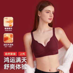 本命年内衣女小胸聚拢2025塑形提拉调整上托防下垂收副乳红色文胸