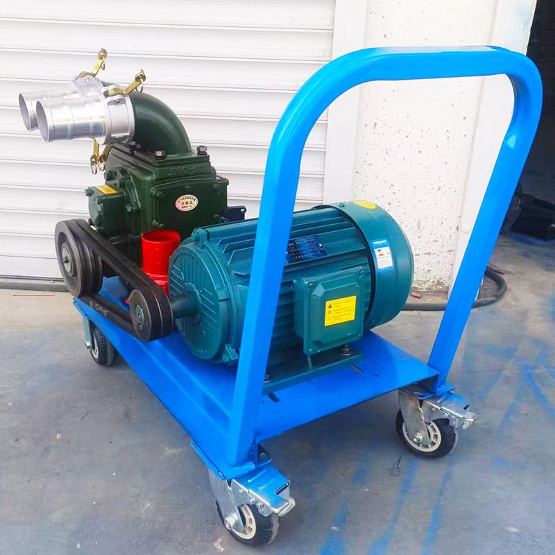 手推式鸡鸭粪吸粪泵河道泥浆污水抽吸泵电动养殖场粪便抽粪泵