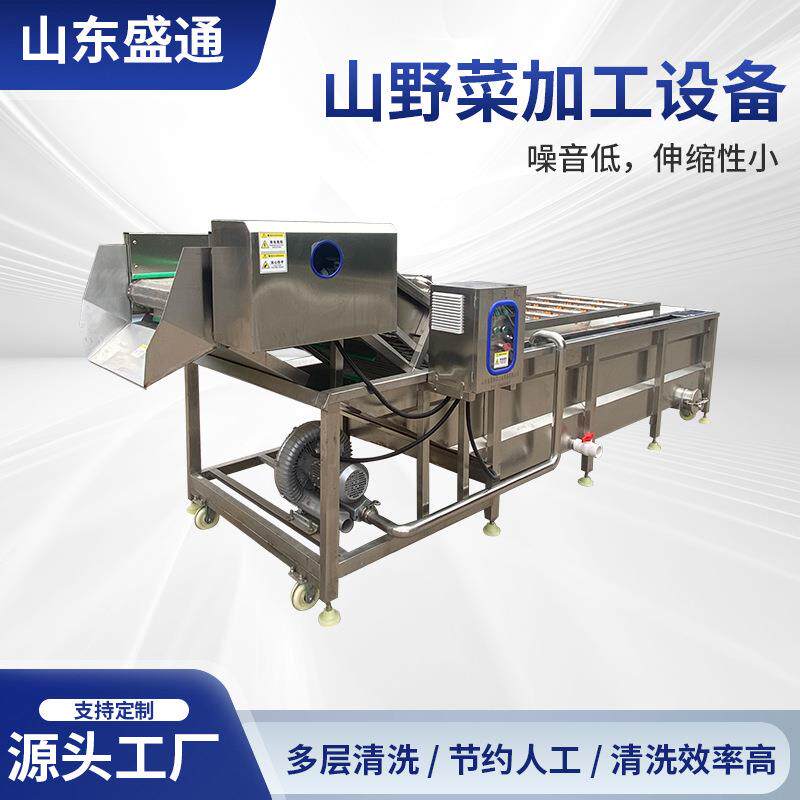 自动化速冻山野菜漂烫机紫苏叶加工设备树仔菜杀青机一机多用