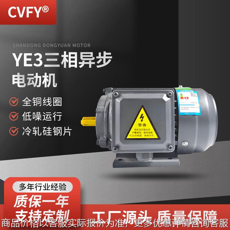 三相异步电动机 YE3-200L1/L2-6极电机 380V 18.5/22W风机马达