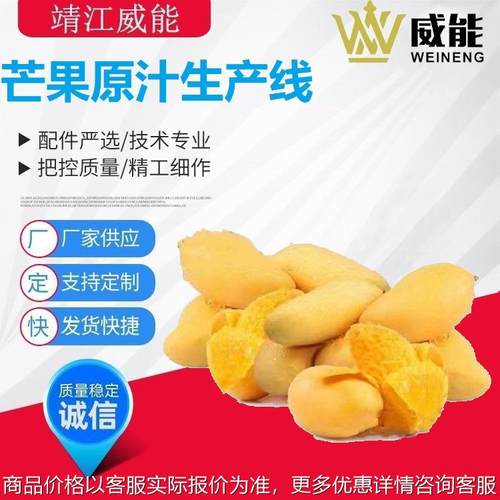 厂家直销大型工业商用不锈钢优质的芒果原汁生产线