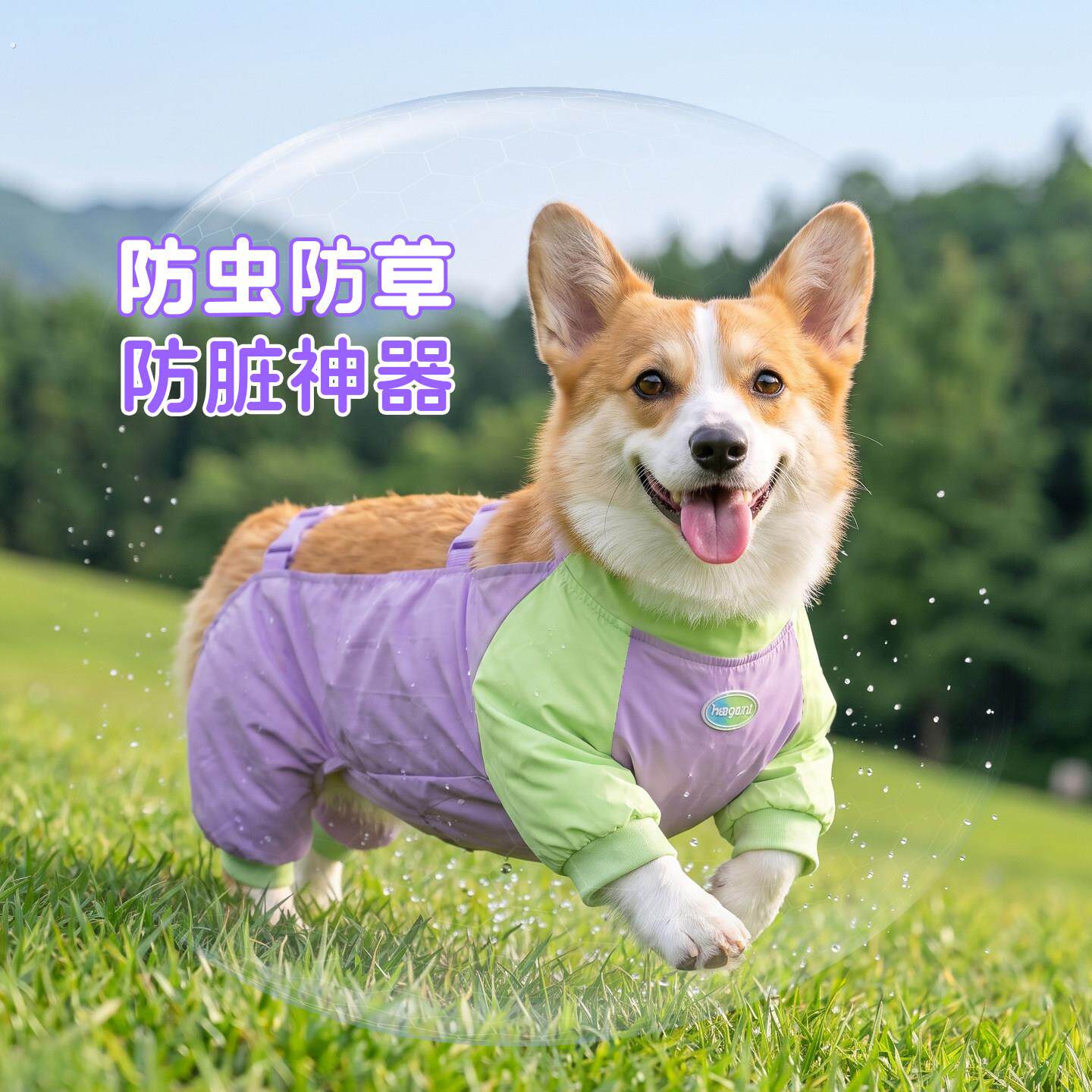 宠物狗狗防脏四脚防尘裤护肚柯基专用夏天薄款衣服雨衣2026年新款