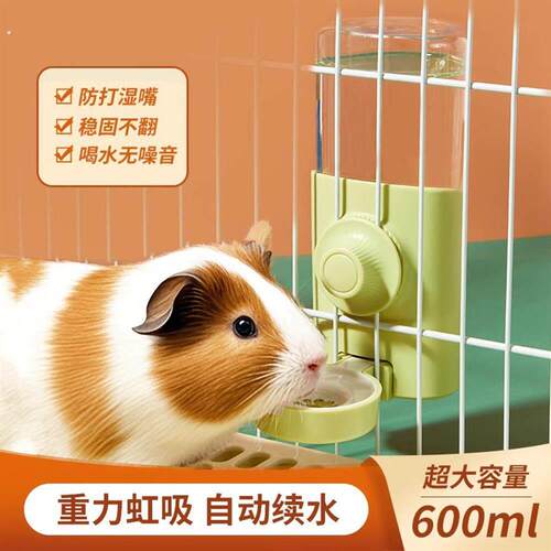 荷兰猪饮水器豚鼠水壶喝水器自动喂食器专用大容量大号用品不湿嘴