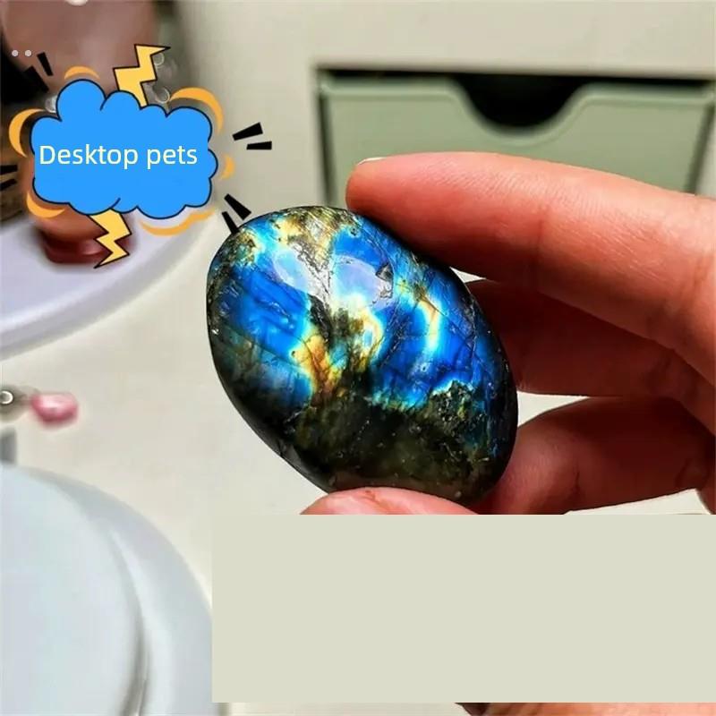 宠物石头稀罕宠物适合小孩子养的学生迷你宠物拉长石桌面宠物石头