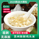 苏州鸡头米新鲜2025苏州特产中大颗粒鸡头米手剥礼盒鲜芡实非干货