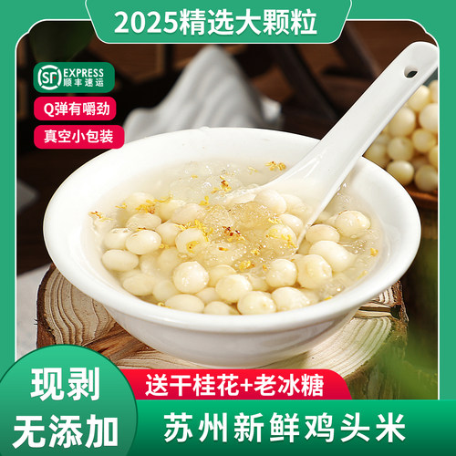 苏州鸡头米新鲜中大颗粒鲜芡实