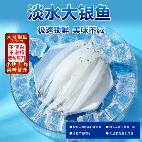 无骨无刺淡水银鱼宝宝辅食推荐