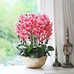 和家PU全手感蝴蝶兰仿真花套装假花整体花艺客厅餐桌花高档装饰花