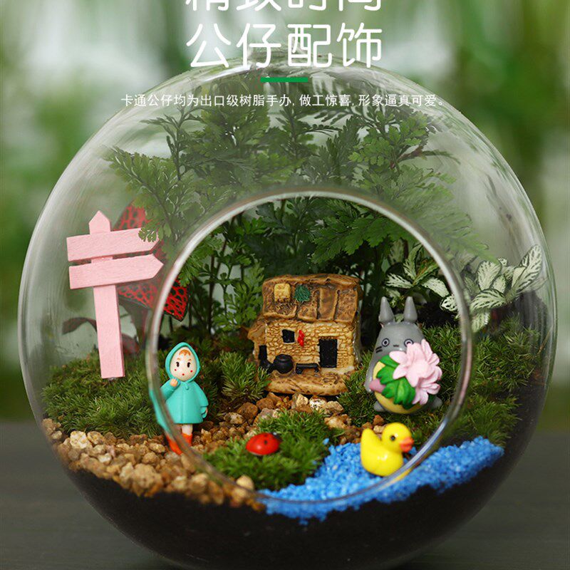 桌面微景观小花盆栽鲜活植物幼儿园苔藓多肉生态瓶DIY材料包