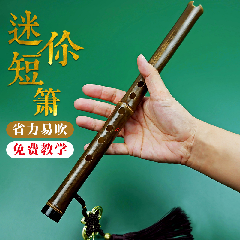 便携入门洞箫零基础紫竹短萧高级迷你小萧笛古风六孔C调箫乐器D潇