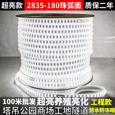 220VLED灯带批发白光户外防水工程127V养殖塔吊工地24V36V地下室