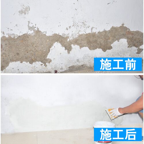 内墙防水防霉涂料渗水返潮室内墙面修补复白色家用背水面防水材料 - 封面