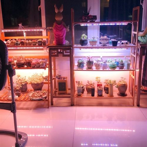wega贵翔植物生长灯全光谱仿太阳多肉补光灯上色防徒家用led灯管