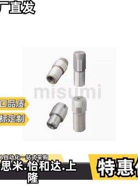 米思米FPbBTA6定位销GFPBTA8T-P9.9-L6-B6定做GFPNA6-P10-L6-B8