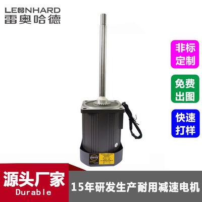 雷奥电机厂家检测设备上用长轴电机5I120A-CF轴220光轴减速电机