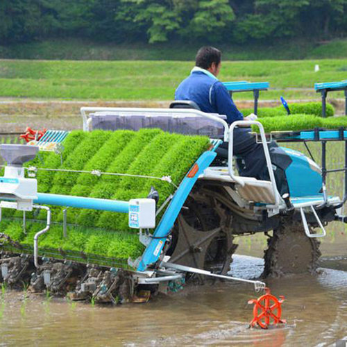 全自动水稻插秧机栽苗设备柴油汽油机带手扶式秧苗种植插苗机六行