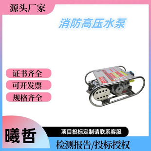 4DS森林灭火水泵便携式 高压消防泵 接力消防泵TW21 卧式