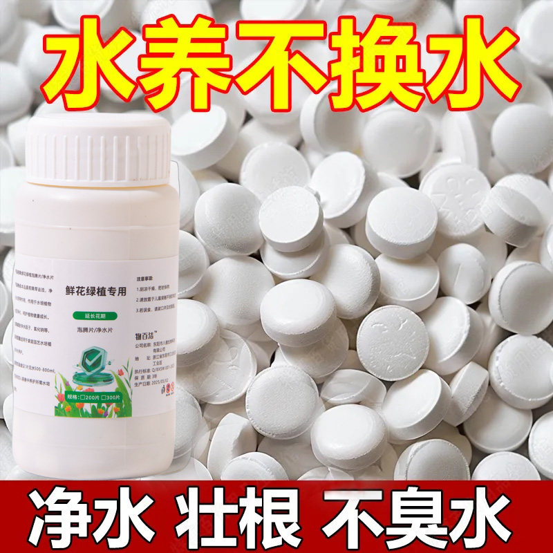 鲜花绿植净水片养花绿植