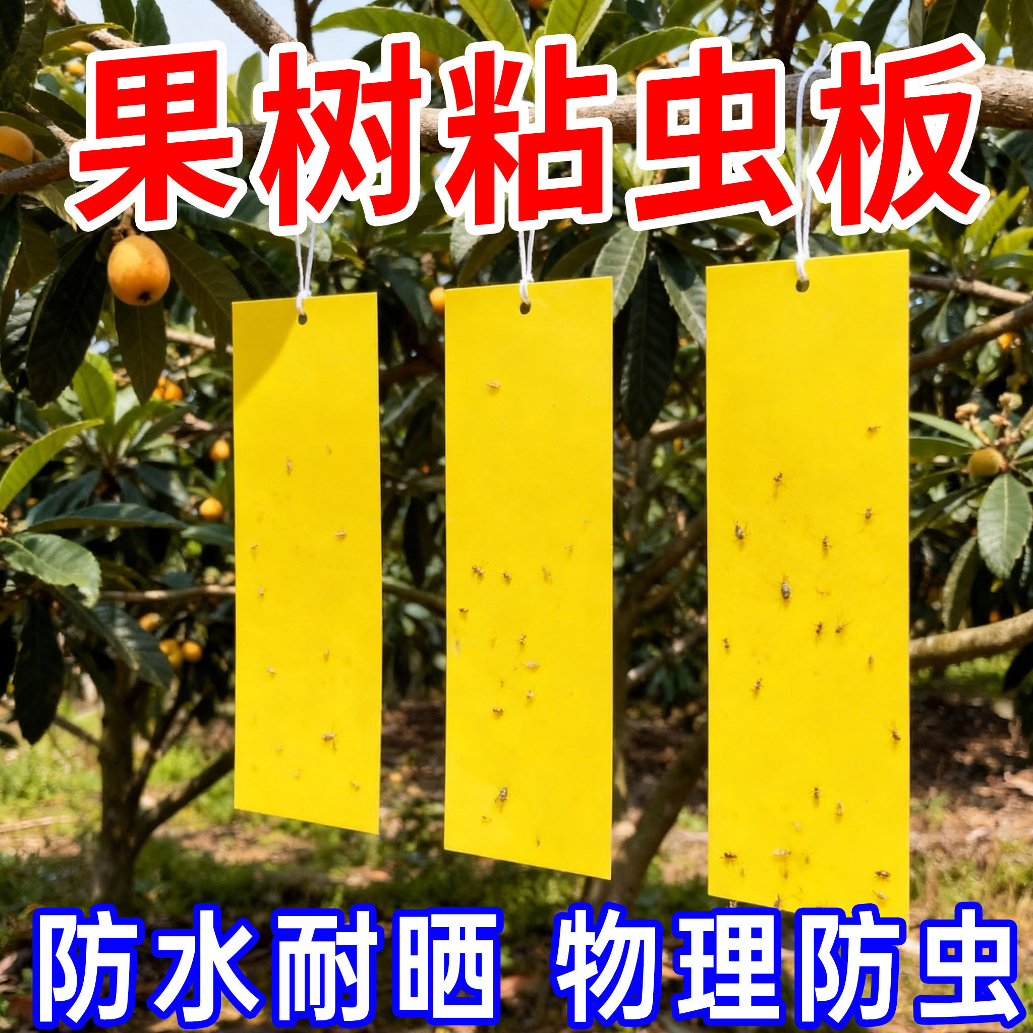 粘虫板果树专用黄板双面小黑飞