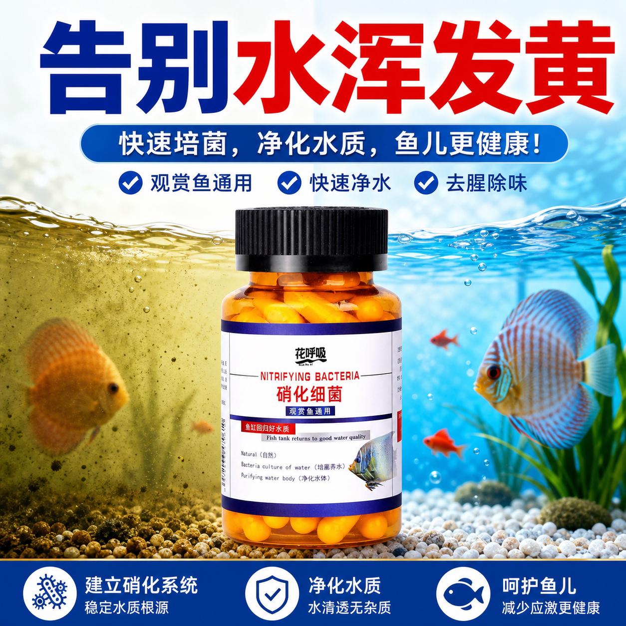 观赏鱼专用硝化细菌胶囊高活性活菌鱼缸日常维护净水稳定水质