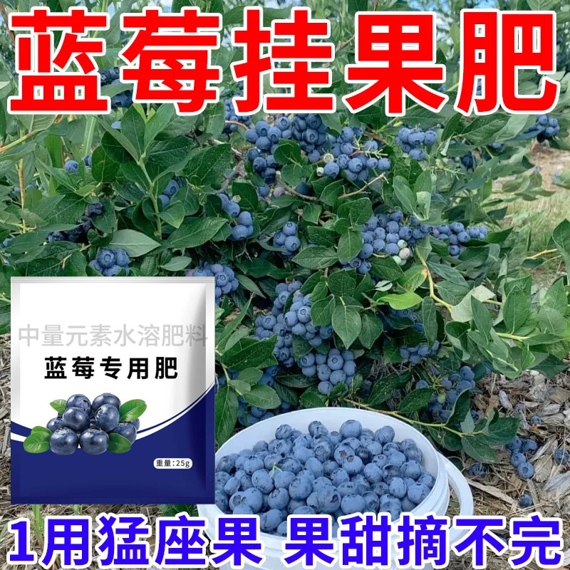蓝莓专用肥黄叶颗粒肥挂果增甜