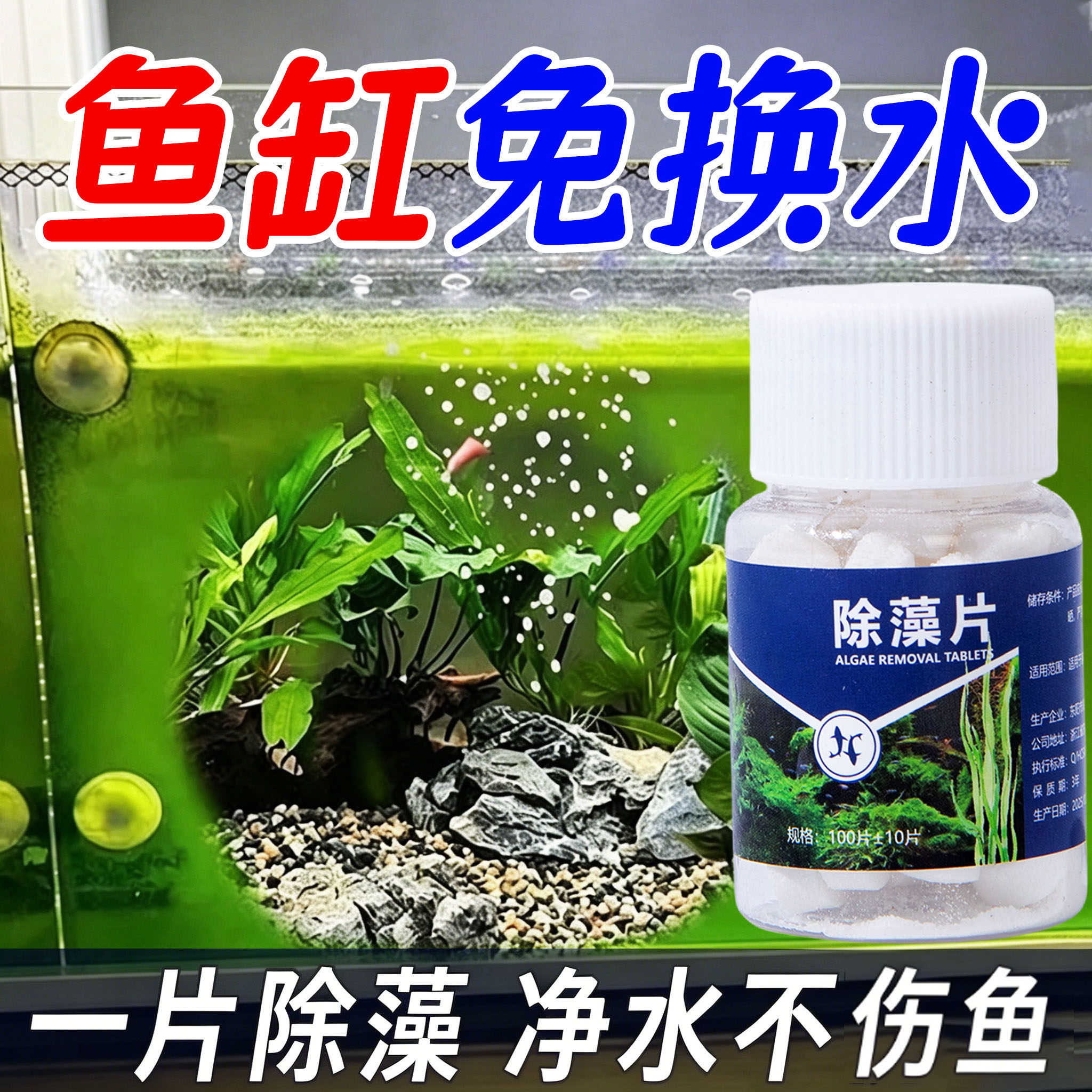 鱼缸除藻片绿水黑毛褐藻水藻