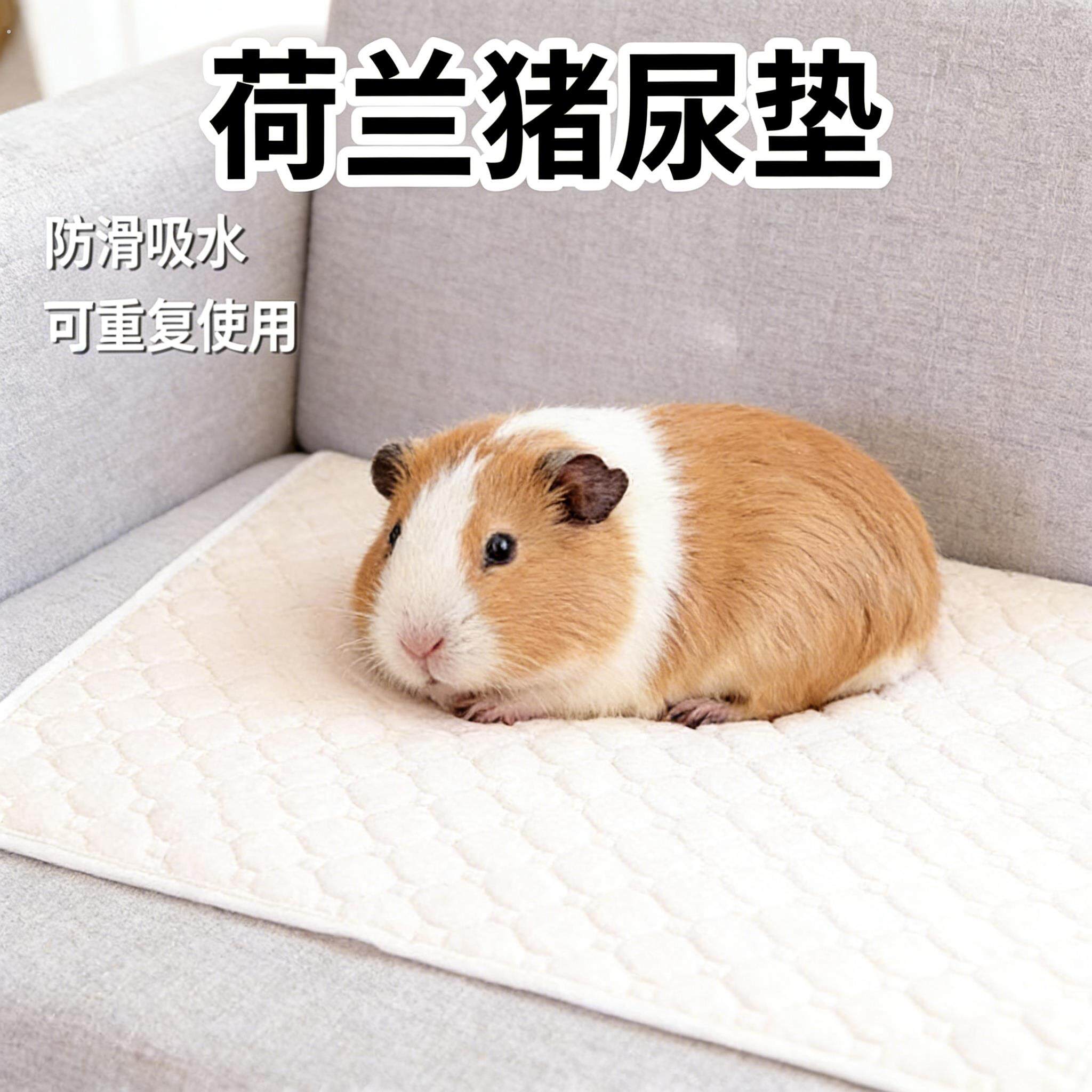 荷兰猪专用可水洗加厚尿垫豚鼠诱导定点吸水大号厕所清洁宠物用品