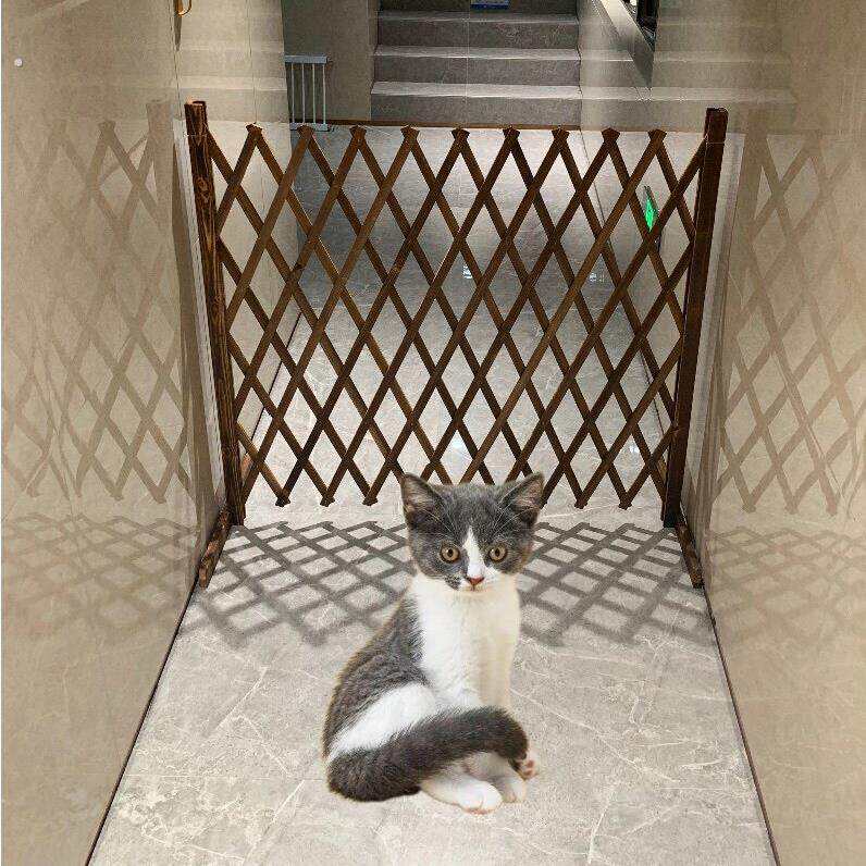 防腐木栅栏隔离门户外室内伸缩隔断拦猫拦狗兔栅栏挡板隔离网门栏