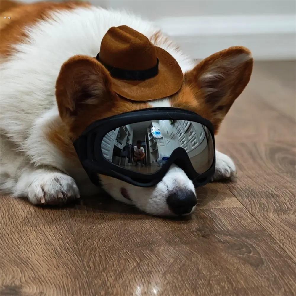 宠物眼镜太阳眼镜狗墨镜法斗泰迪柯基模照道具狗狗护目镜