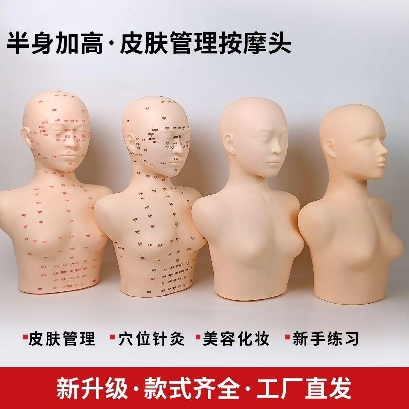 皮肤管理头模学特美容假人头头部模型美容模头脸部按摩光头带肩膀