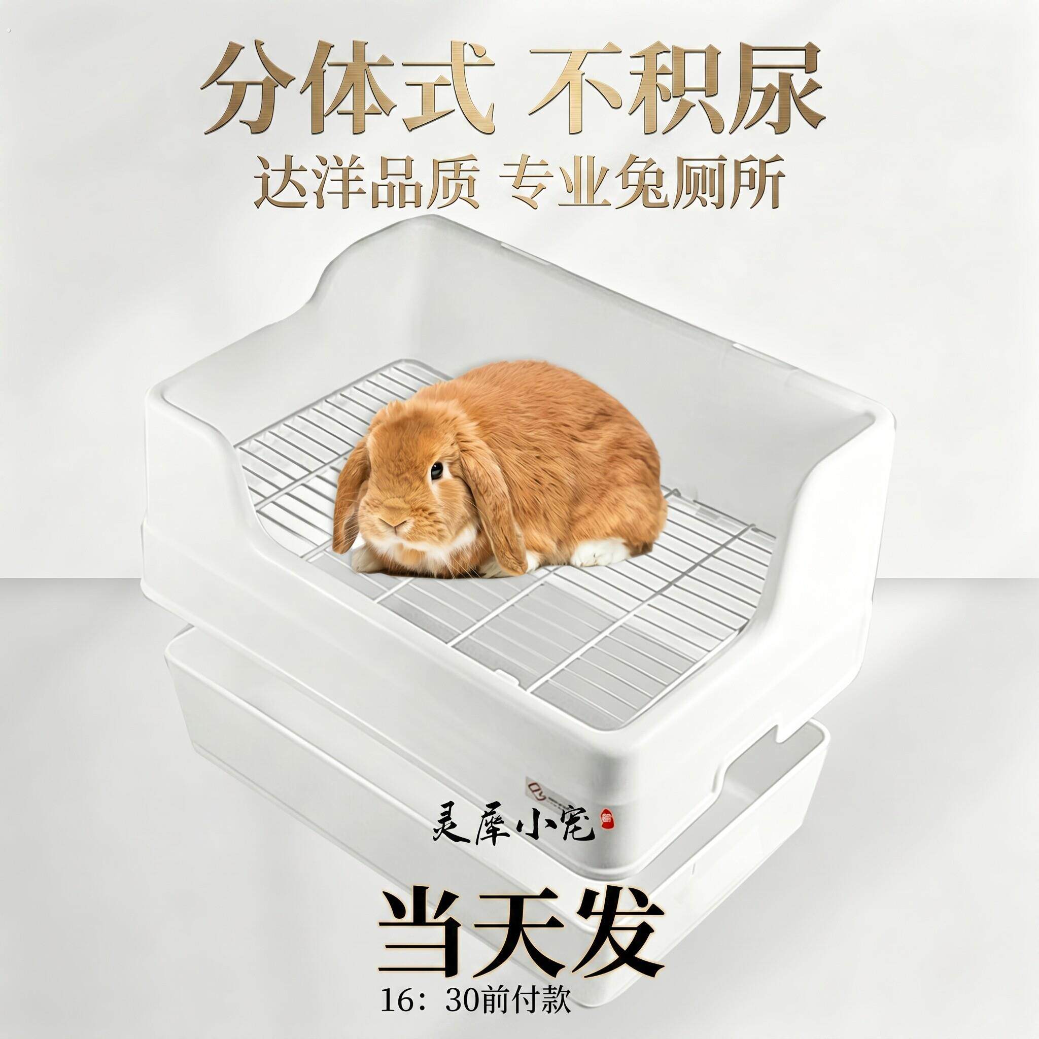兔兔厕所专用大号两件式便盆防掀翻固定易清理尿盆宠物兔用品