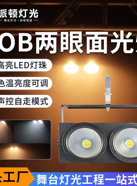 COB两眼面光灯led暖光白光观众灯清吧酒吧爆闪补光灯舞台灯光