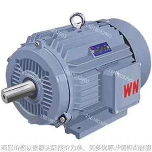 皖南电机2001-2-30 立式 卧式变频调速电机三相异步电动机