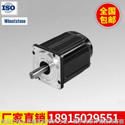 专业销售130-06025 电动车直流无刷电机48 液压车用电机