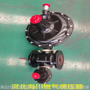 费希尔 RTZ减压阀 燃气调压器调压箱 煤气稳压阀