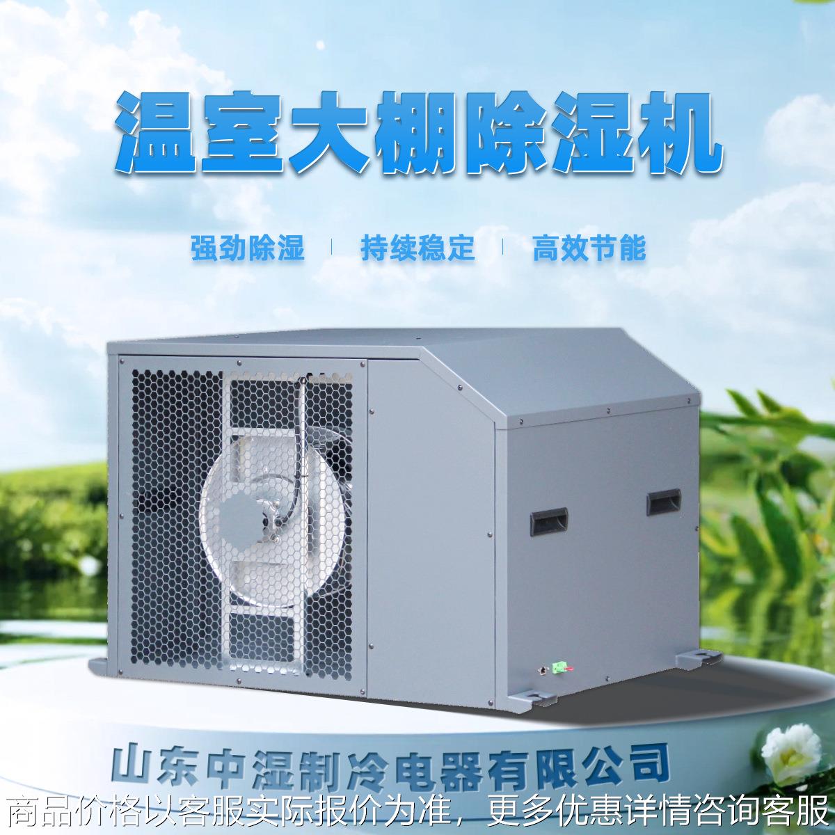 跨境温室大棚工业用除湿机别墅档案室酒窖车间抽湿干燥器抽湿机