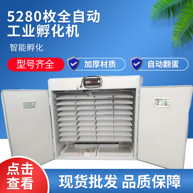 5280全自动孵化机鸡鸭鹅鸽子孵化设备广东汕头澄海狮头鹅蛋孵化机