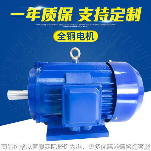 YE4100L2-4-3W立式电机足功率设备废了电机都不带坏的