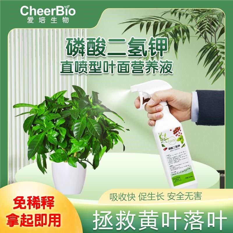 免稀释植物营养液通用盆栽肥室内绿植发财树养花卉叶面喷施肥